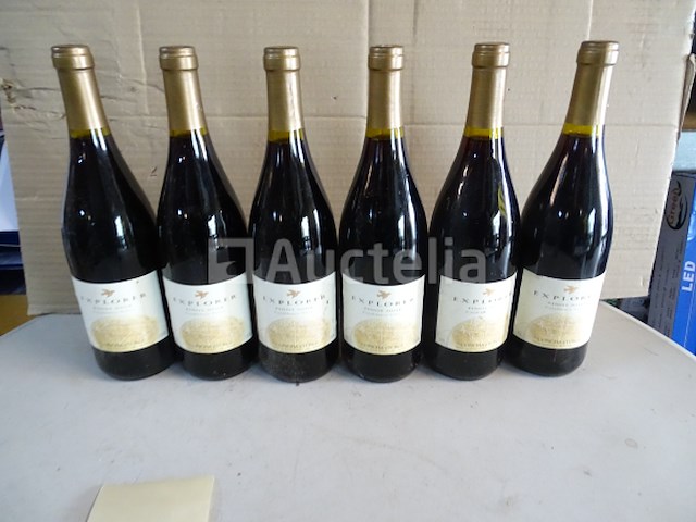 6 flessen pinot noir explorer - afbeelding 1 van  4