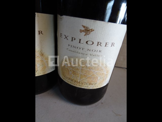 6 flessen pinot noir explorer - afbeelding 2 van  4