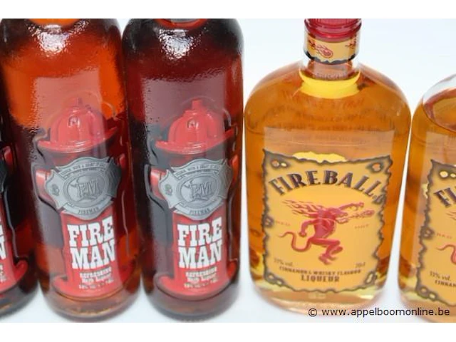 6 flessen sterke drank - afbeelding 2 van  2