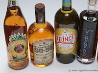 6 flessen sterke drank - afbeelding 2 van  3