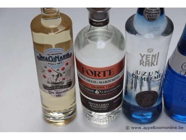 6 flessen sterke drank - afbeelding 2 van  3