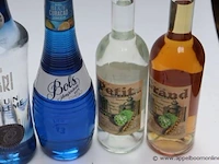6 flessen sterke drank - afbeelding 3 van  3