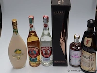 6 flessen sterke drank - afbeelding 1 van  3