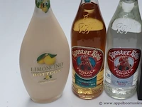 6 flessen sterke drank - afbeelding 2 van  3
