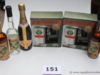 6 flessen sterke drank - afbeelding 1 van  3