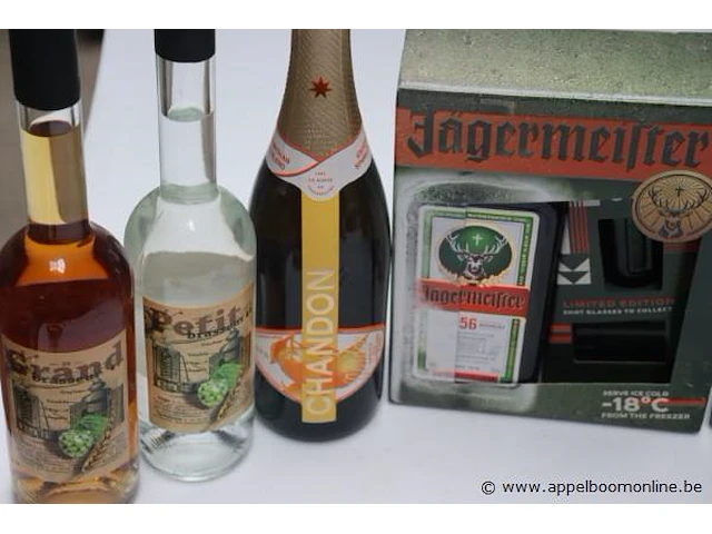 6 flessen sterke drank - afbeelding 2 van  3