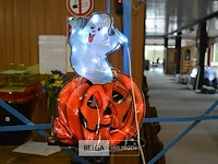 6 halloween verlichting - afbeelding 3 van  4