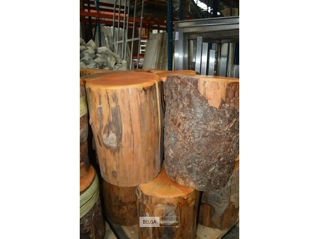 6 houten zitblokken diverse maten ± 0,45cm hoog + ± 0,36cm ø - afbeelding 3 van  4