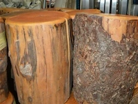6 houten zitblokken diverse maten ± 0,45cm hoog + ± 0,36cm ø - afbeelding 3 van  4