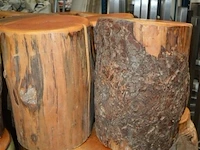6 houten zitblokken diverse maten ± 0,50cm hoog + ± 0,38cm ø - afbeelding 3 van  4