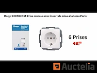 6 kopp paris white wall stopcontacten met geaard inzetstuk - afbeelding 1 van  1