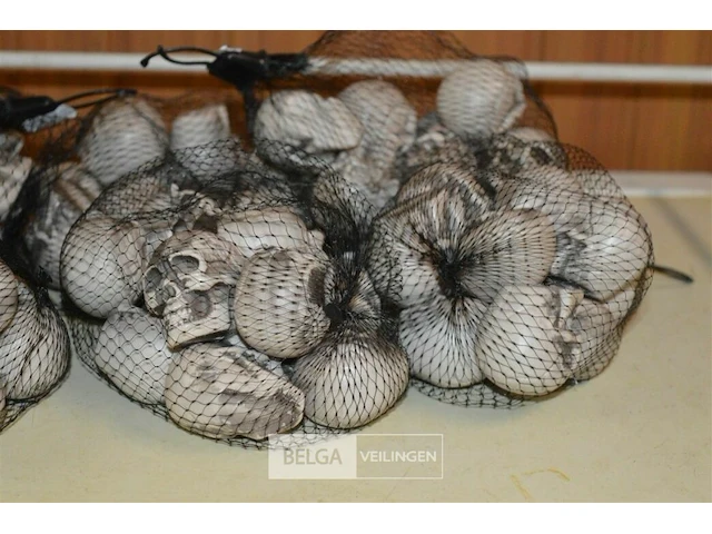 6 pakjes deco mini skulls - afbeelding 3 van  4