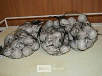 6 pakjes deco mini skulls - afbeelding 1 van  4
