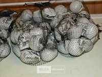 6 pakjes deco mini skulls - afbeelding 2 van  4