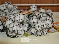 6 pakjes deco mini skulls - afbeelding 2 van  3