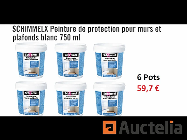 6 potjes beschermende verf voor muren en plafonds wit 750 ml schimmel - afbeelding 1 van  1