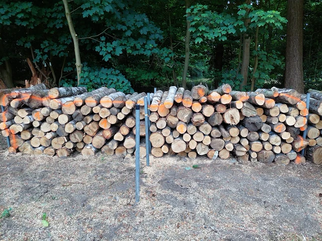 6 stère berk - afbeelding 1 van  1