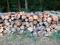 6 stère berk - afbeelding 1 van  1