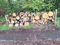 6 stère divers, hard/zacht - afbeelding 1 van  1