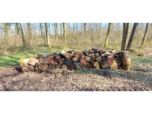 6 stère hardhout - afbeelding 1 van  1