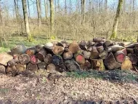 6 stère hardhout