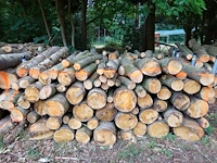 6 stère kastanje - afbeelding 1 van  1