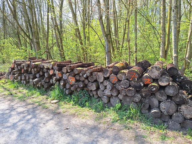 6 stère wilg - afbeelding 1 van  3