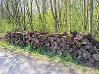 6 stère wilg - afbeelding 1 van  3