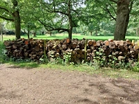6 stère wilg - afbeelding 1 van  1