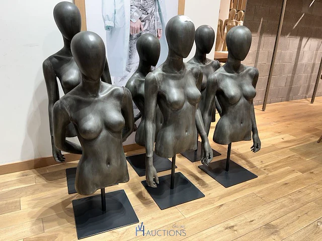 6 vrouwelijke bustes - afbeelding 2 van  2