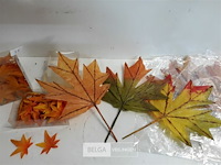 6 x herfstblaadjes pvc 2 assorti - afbeelding 3 van  3