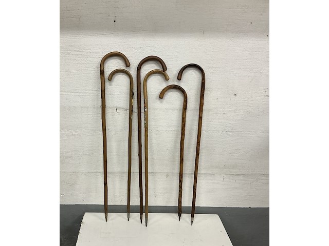 6 x houten wandelstokken met ijzerten pin - 1 lot - afbeelding 1 van  1