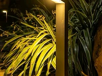 6 x led tuinlamp 10w – 60 cm – 3500k warm wit – 1000 lm – ip54 waterdicht – zwart (sla-64) - afbeelding 1 van  5