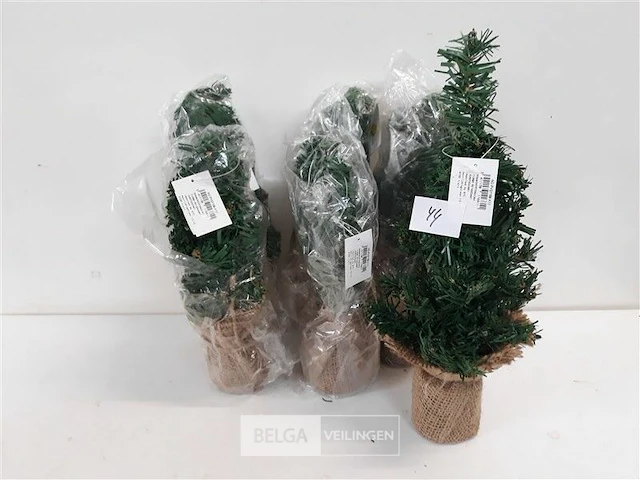 6 x mini kerstboom met kluit 35 cm - afbeelding 1 van  3