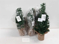 6 x mini kerstboom met kluit 35 cm - afbeelding 1 van  3