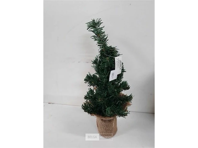 6 x mini kerstboom met kluit 35 cm - afbeelding 3 van  3