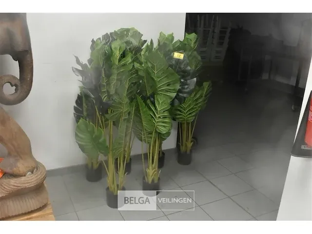 6 x plastiekpalmpjes in een plastieken pot 130cm hoog, decoratie - afbeelding 1 van  5
