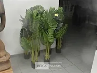 6 x plastiekpalmpjes in een plastieken pot 130cm hoog, decoratie - afbeelding 1 van  5