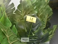 6 x plastiekpalmpjes in een plastieken pot 130cm hoog, decoratie - afbeelding 2 van  5