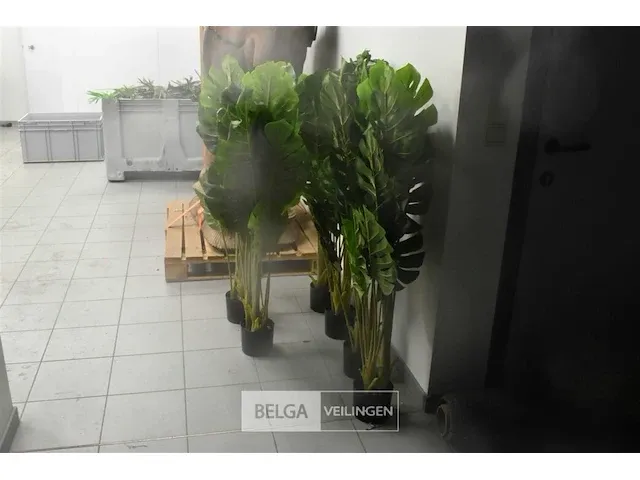 6 x plastiekpalmpjes in een plastieken pot 130cm hoog, decoratie - afbeelding 3 van  5