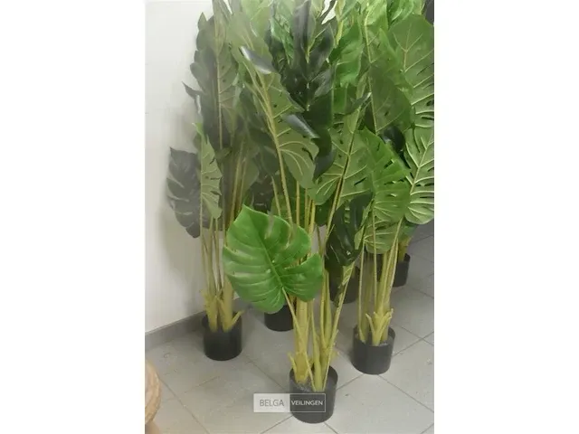 6 x plastiekpalmpjes in een plastieken pot 130cm hoog, decoratie - afbeelding 4 van  5