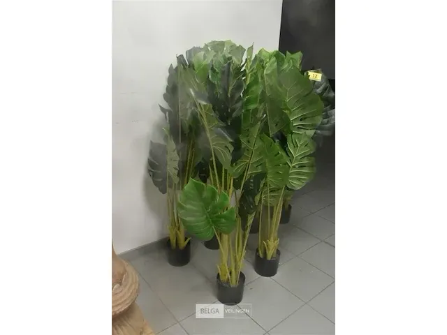 6 x plastiekpalmpjes in een plastieken pot 130cm hoog, decoratie - afbeelding 5 van  5