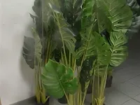 6 x plastiekpalmpjes in een plastieken pot 130cm hoog, decoratie - afbeelding 5 van  5