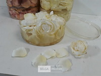 6 x roosjes + blaadjes - afbeelding 3 van  3