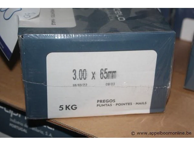 60 dozen a 5kg spijkers, 3,00x65 - afbeelding 3 van  3
