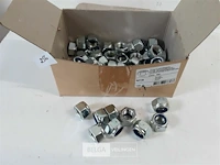 60 x borgmoer verzinkt m 18 - afbeelding 2 van  3
