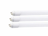 60cm 10w 6000k led tl buizen led g13 t8 (60x) - afbeelding 1 van  3
