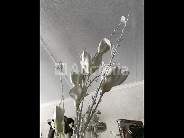 66 takken magnolia bloemen - afbeelding 5 van  5