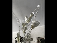 66 takken magnolia bloemen - afbeelding 5 van  5