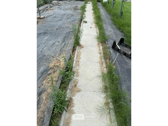 66x betonnen stapstenen - afbeelding 1 van  3